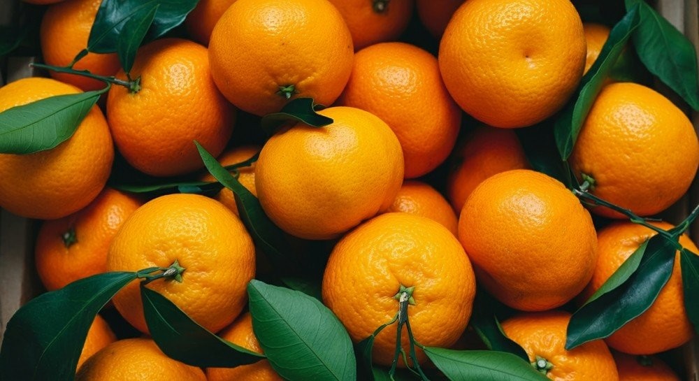 shutterstock-2561298593.jpg